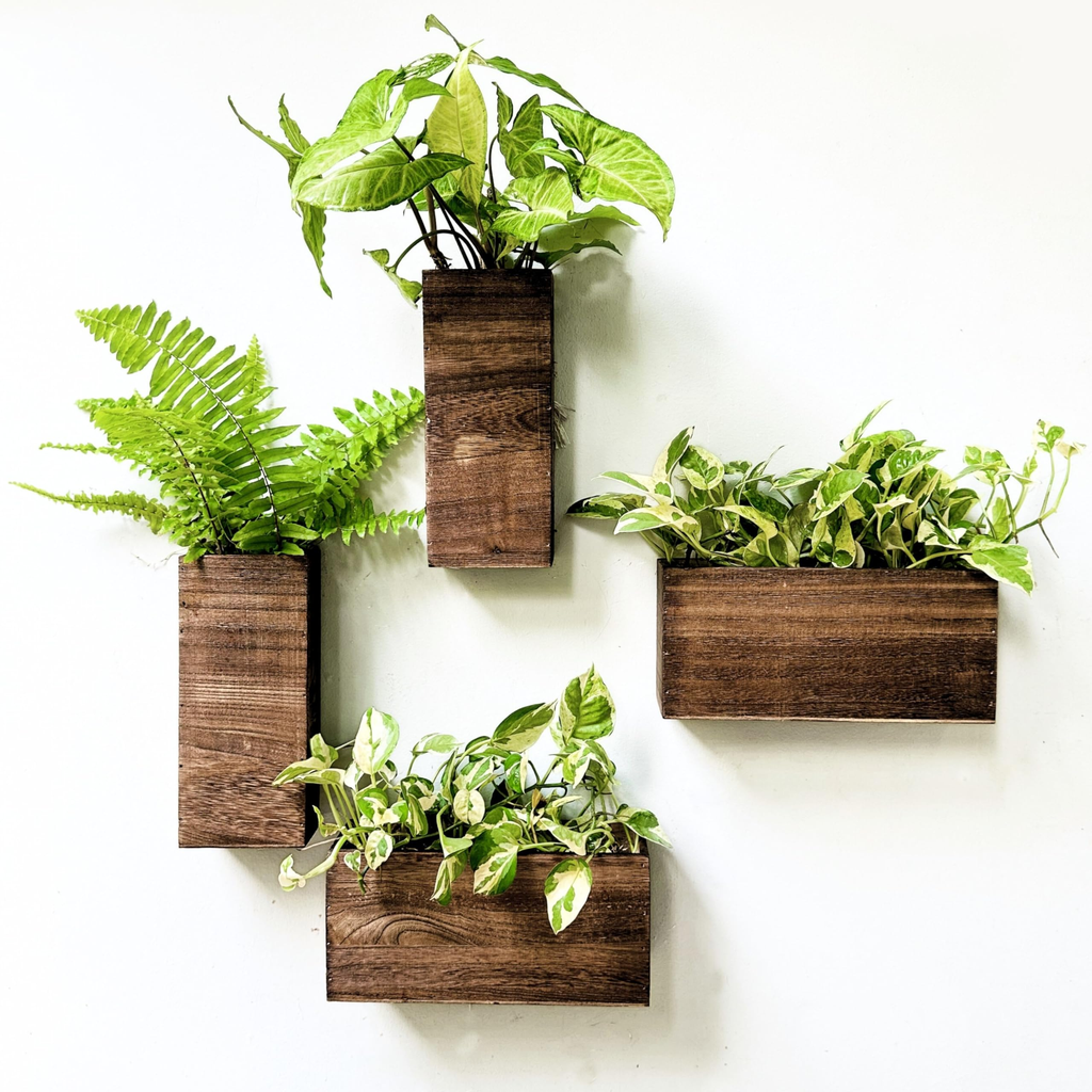 Gomez Grocery Wallart Deluxe Floating Shelf Assorted